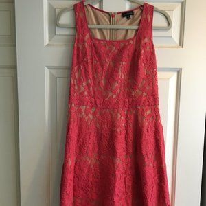 The Limited Size 4 Pink/Tan Lace Dress
